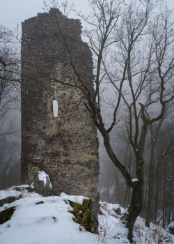 silvaris:     Tower of - Gothic(medieval) tower in a gothic fog…