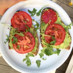 avocado-toast-temple:  Lunch🌱 Avocado toast on rye bread with