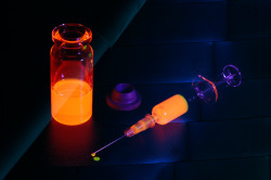 neuromaencer:  original image ‘fluorescence under ultraviolet