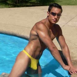 thong-jock:  Woof! 