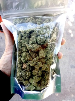 hello mary jane.