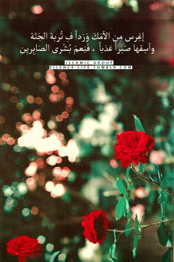 صمت الحياة