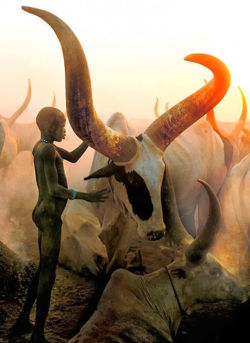  The Dinka people  (Sudan) by  Carol Beckwith and Angela Fisher