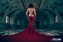 thor0401:  provocative-romantic-unique:  red  Beautiful