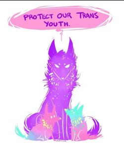 haveagaydayorg:  Protect or trans youth.