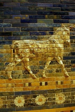 Detail of the Ishtar Gate, Babylon (now in Pergamon Museum, Berlin)