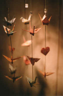 jihyoo:  Origami hanging there by chacanin on Flickr. 