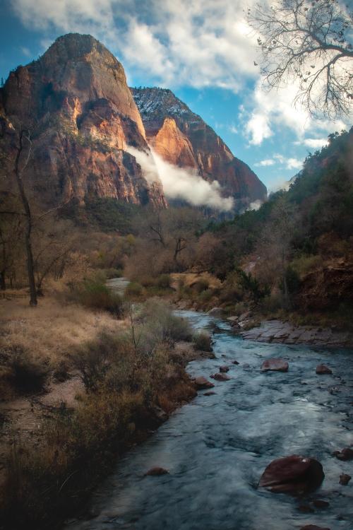 exposenature:Beautiful Canyons of Zion National Park, Utah [2000x2998][OC]
