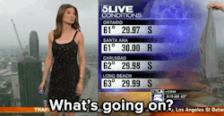 this-is-life-actually:  micdotcom:  Meteorologist forced to cover
