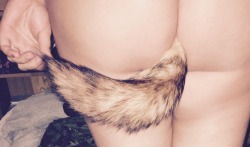 daddyskittenyessir:  My fox tail ☺️ so I’m not the smallest