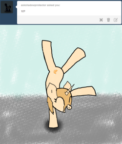 ask-fortunecookie:  10. Standing on their hands (hooves).  Cute~