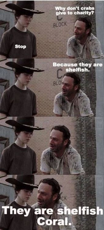 organic-crystal-meth:  The walking dead// Rick Grimes dad jokes the walking dead// rick grimes dad jokes REDUX