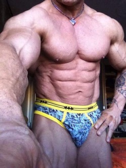 Muscle Bear