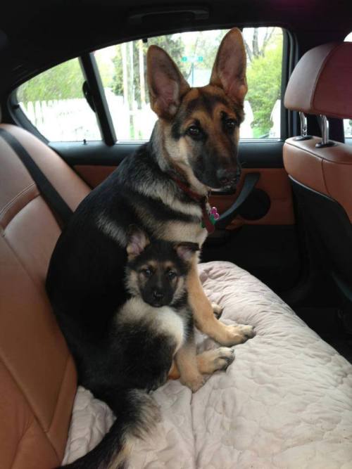 Goin’ for a car ride with Mom