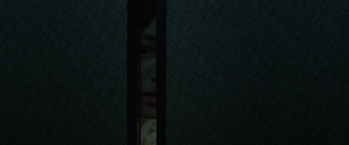 whosthatknocking:Ah-ga-ssi | The Handmaiden (2016), dir. Chan-wook