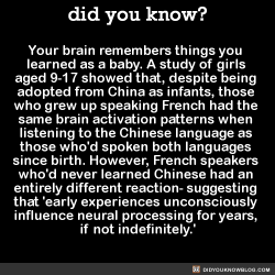 did-you-kno:  Your brain remembers things you  learned as a baby.