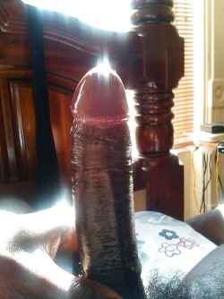 PRAISE BIG BLACK PENIS! blackcockabuse:  Pubes love 