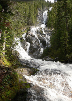 brutalgeneration:  Silver Tip Falls, Wells Gray Park, Clearwater