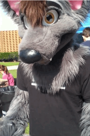 aceofheartsfox:  Good morning, tumblr folks! Here’s a smile to start your day! X3 