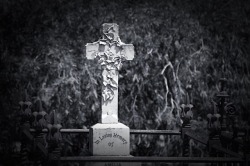 gardensofthesilent:St Georges Anglican Cemetery, Gawler, South