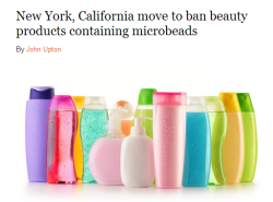 thinksquad:  New York, California move to ban beauty products