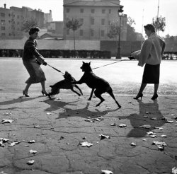 mpdrolet:   Barcelona, c. 1950 Francesc Català-Roca  