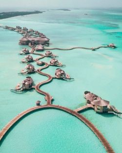 oceancuresall:  tropical blog  