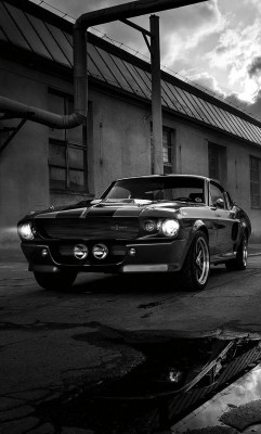 h-o-t-cars:  Ford Mustang Shelby GT500 “Eleanor” by Martin