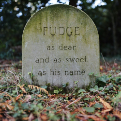 sixpenceee:  A pet grave in a pet cemetery located at Exbury
