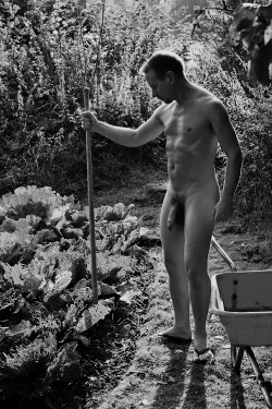 nakedblokes:  Naked blokes. That’s it. Nothing else.  nakedblokes.tumblr.com. follow. ask. submit. archive.