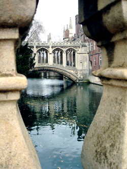 emilyhughesphotography:  Bridge of Sighs, Cambridge, UK 