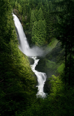 son-0f-zeus:  Wallace falls | chris tarnawski 