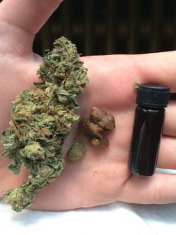 piffprince:  Bud, wax, hash, and honey oil. Hmmm what to smoke first 