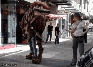 gifs-for-fun:  http://gifs-for-fun.tumblr.com/