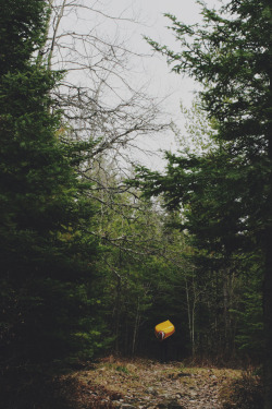 gageymoto.tumblr.com/post/105153194258/