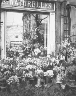 onlyoldphotography:  Eugène Atget: Boutique Fleurs, 1925 