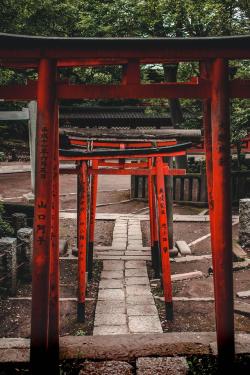 super-sissygurl: 1confuciousone:  japanpix: Nezu-jinja Shrine