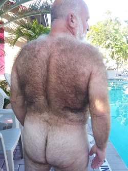 bostonbearpig:  That’s me! My hairy backside… 