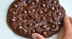 thecakebar:  Gigantic Double Chocolate Chip Cookie 