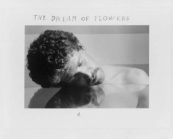 superbestiario:  Duane Michals - The Dream of Flowers, 1986