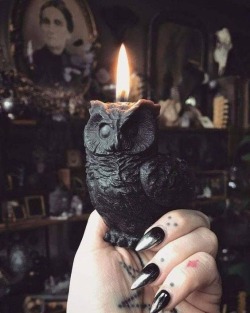 themoonisupsidedown: You can find it on Etsy here   https://www.etsy.com/listing/539120920/black-beeswax-owl-candle-conjuring?utm_source=OpenGraph&utm_medium=PageTools&utm_campaign=Share