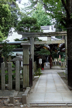 見ぬが花。