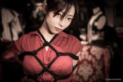 justscreenshots:Shibari & Photo Hajime KinokoModel Tsunamayo