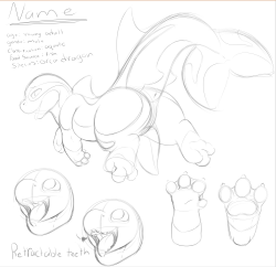 Working on an adorable Orca dragon adopt that will be going for