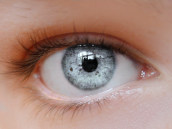 totallytransparent:  Semi Transparent Eye (eye changes to colour