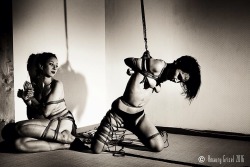 amaury-grisel-shibari:  Cordes intimes avec Ema et Diana  Kinbaku