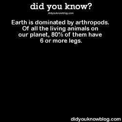 did-you-kno:  Earth is dominated by arthropods. Of all the living