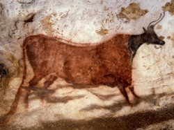 sixpenceee:  Lascaux Caves  Lascaux Caves is a complex of caves