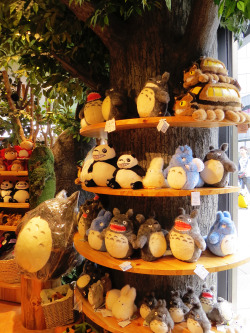 heartlessprincess01:  Studio Ghibli Store at Asakusa 