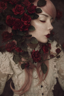 kulturmag:  Red Roses by xKimJoanne  Kultur Magazine | Be Creative